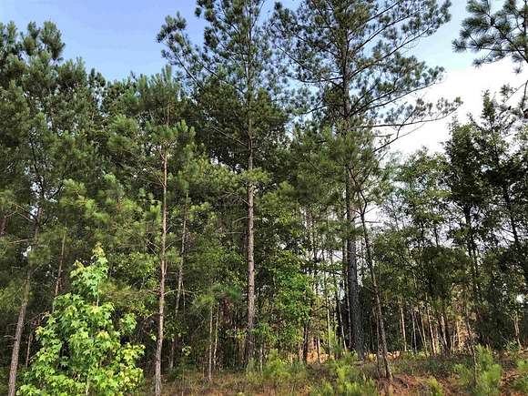7 Acres of Agricultural Land for Sale in Eatonton, Georgia