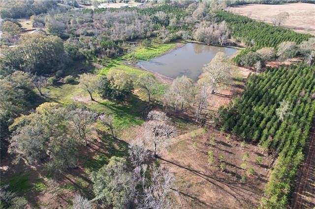 11.1 Acres of Land for Sale in Franklinton, Louisiana