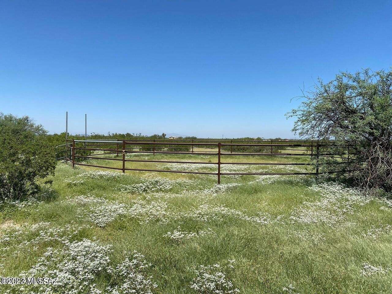 10 Acres of Agricultural Land for Sale in Marana, Arizona