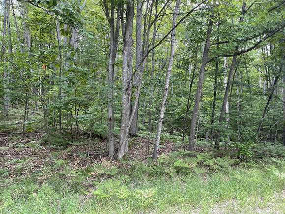 0.65 Acres of Land for Sale in Frederic, Michigan