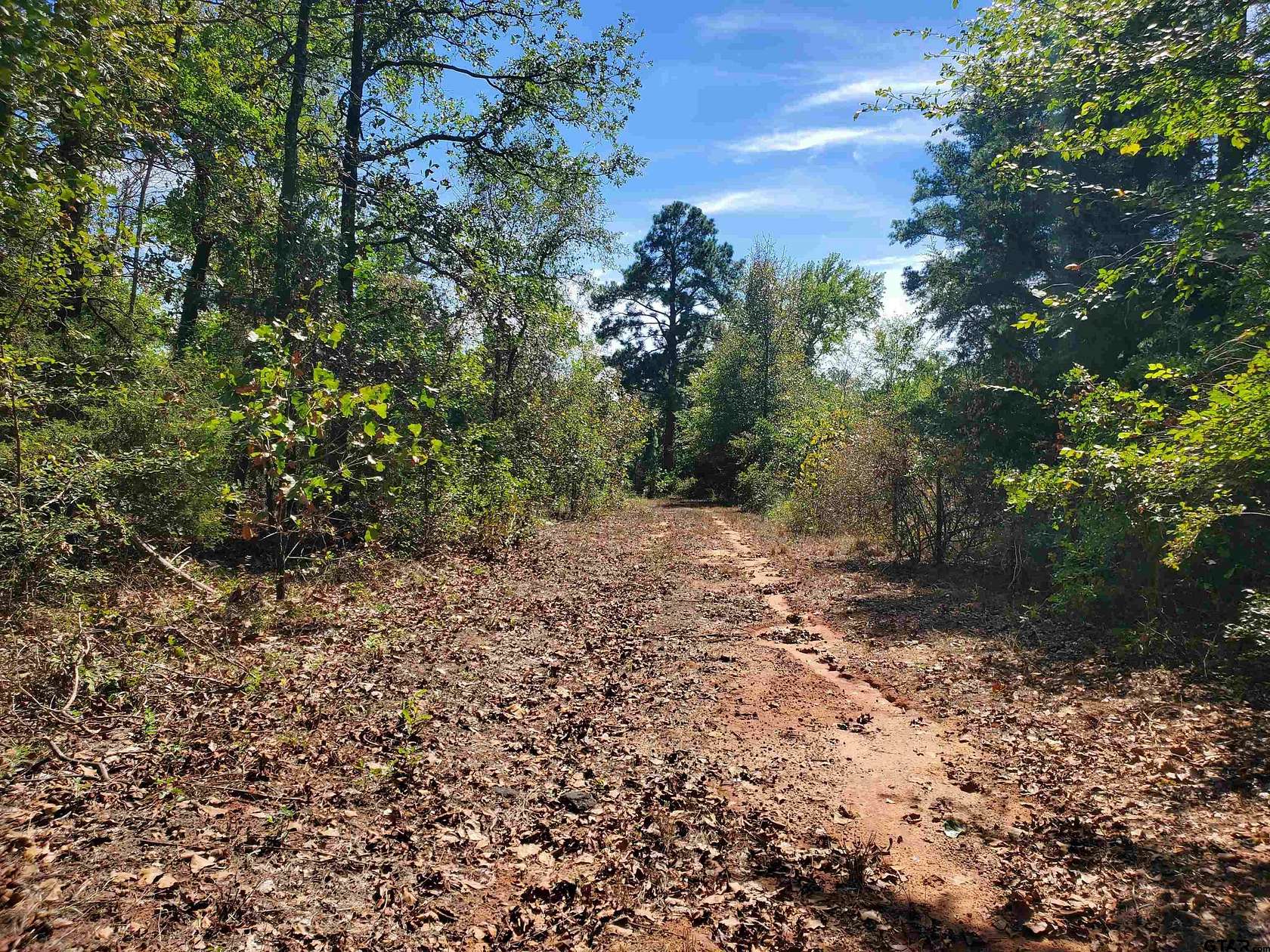 156 Acres of Recreational Land for Sale in Flint, Texas