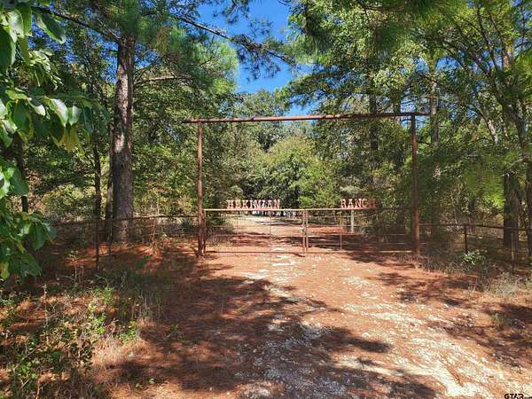 156 Acres of Recreational Land for Sale in Flint, Texas
