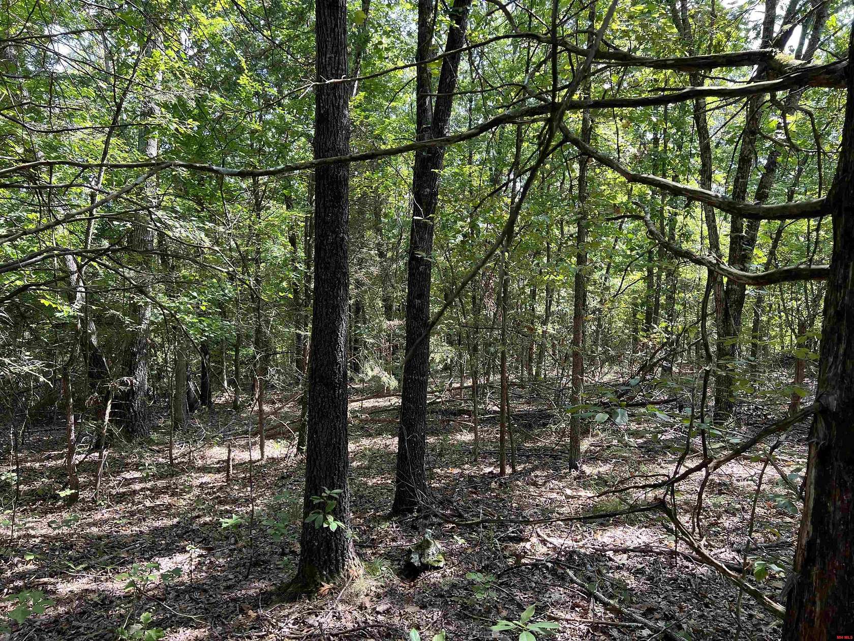 6.1 Acres of Land for Sale in Harrison, Arkansas