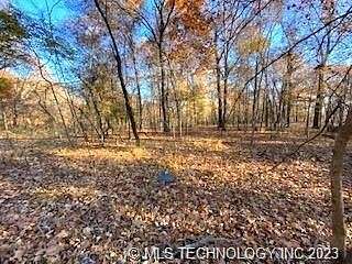 0.9 Acres of Residential Land for Sale in Spavinaw, Oklahoma