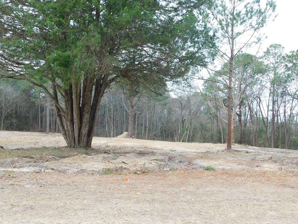 11.5 Acres of Recreational Land for Sale in Cobbtown, Georgia