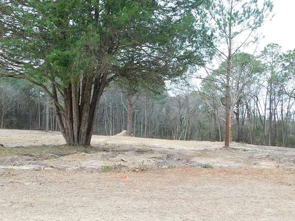 11.5 Acres of Recreational Land for Sale in Cobbtown, Georgia