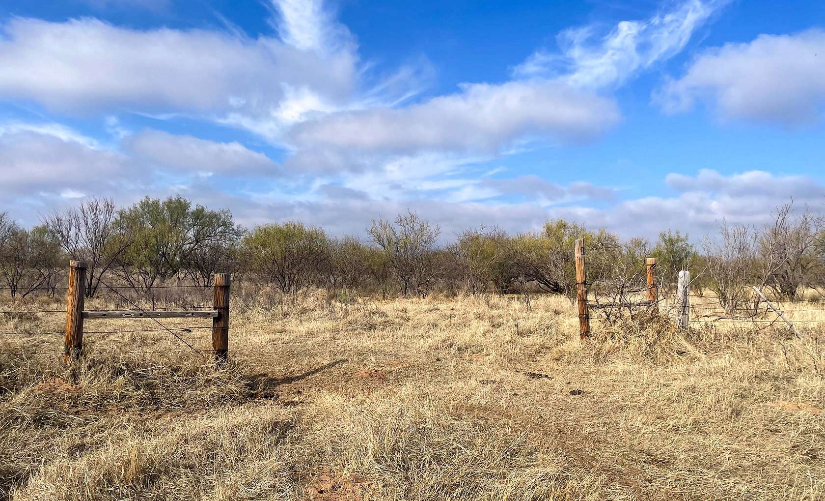 513 Acres of Land for Sale in McCaulley, Texas