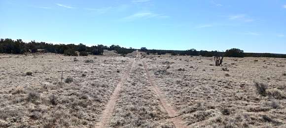 1.1 Acres of Residential Land for Sale in Sanders, Arizona