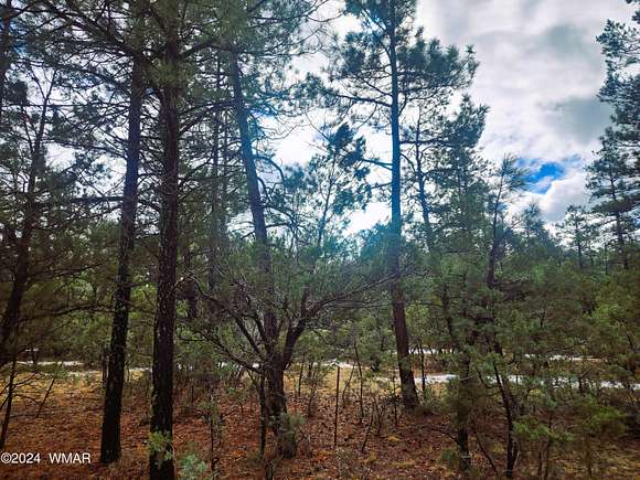 1.03 Acres of Residential Land for Sale in Lakeside, Arizona