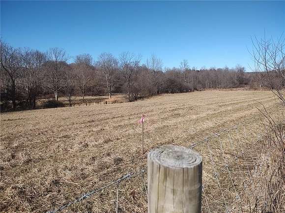 4.6 Acres of Agricultural Land for Sale in Albion, Pennsylvania