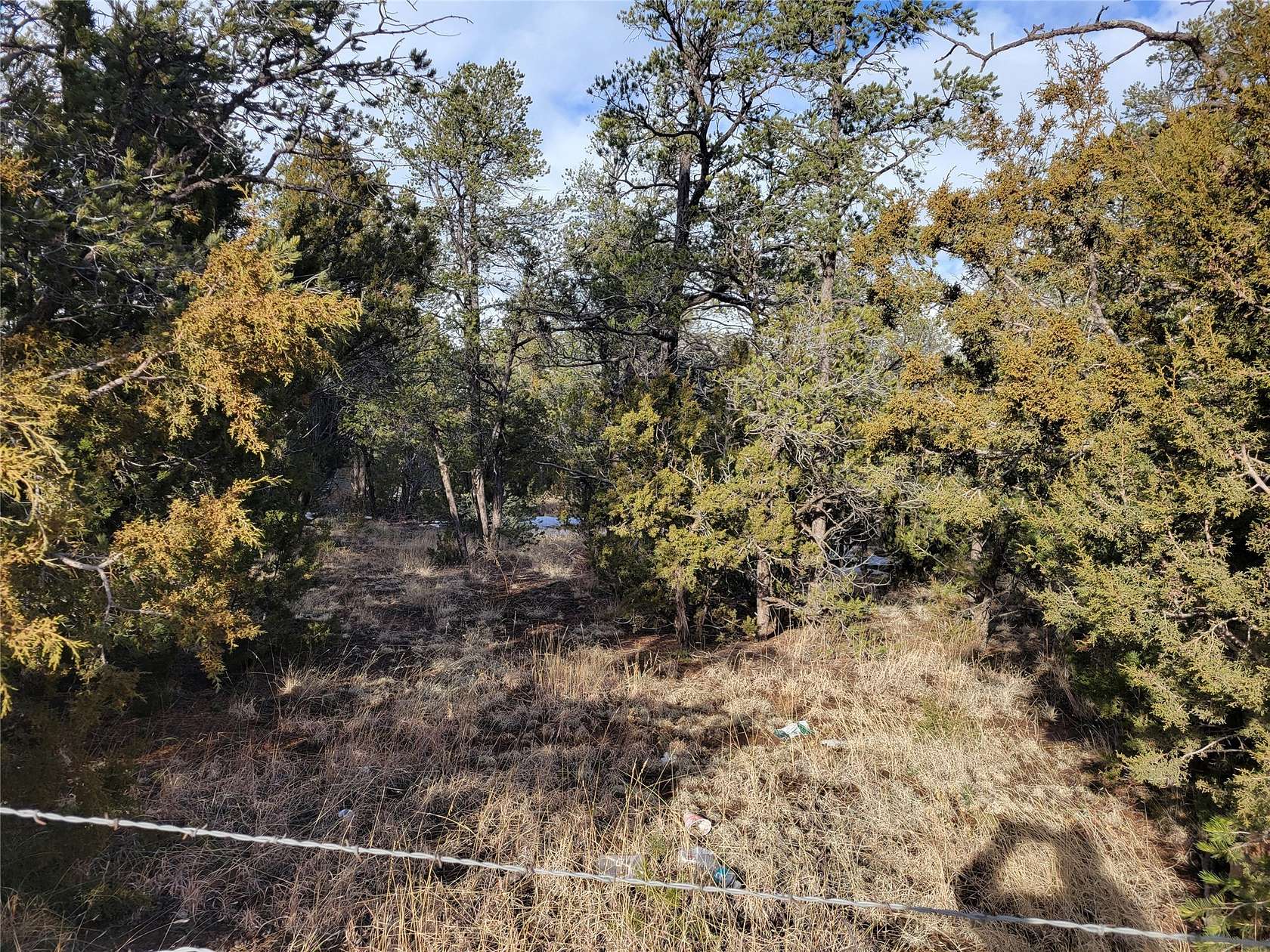 1 Acre of Residential Land for Sale in Pecos, New Mexico