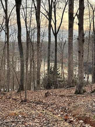 0.71 Acres of Land for Sale in Moneta, Virginia