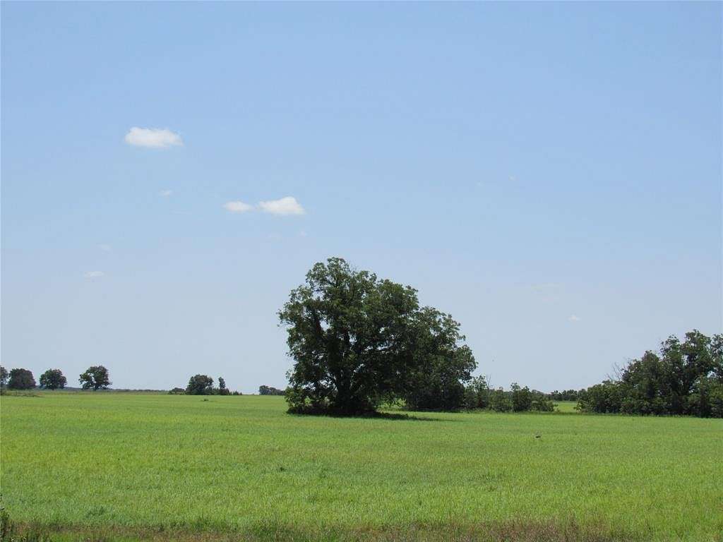 102.351 Acres of Agricultural Land for Sale in Carbon, Texas