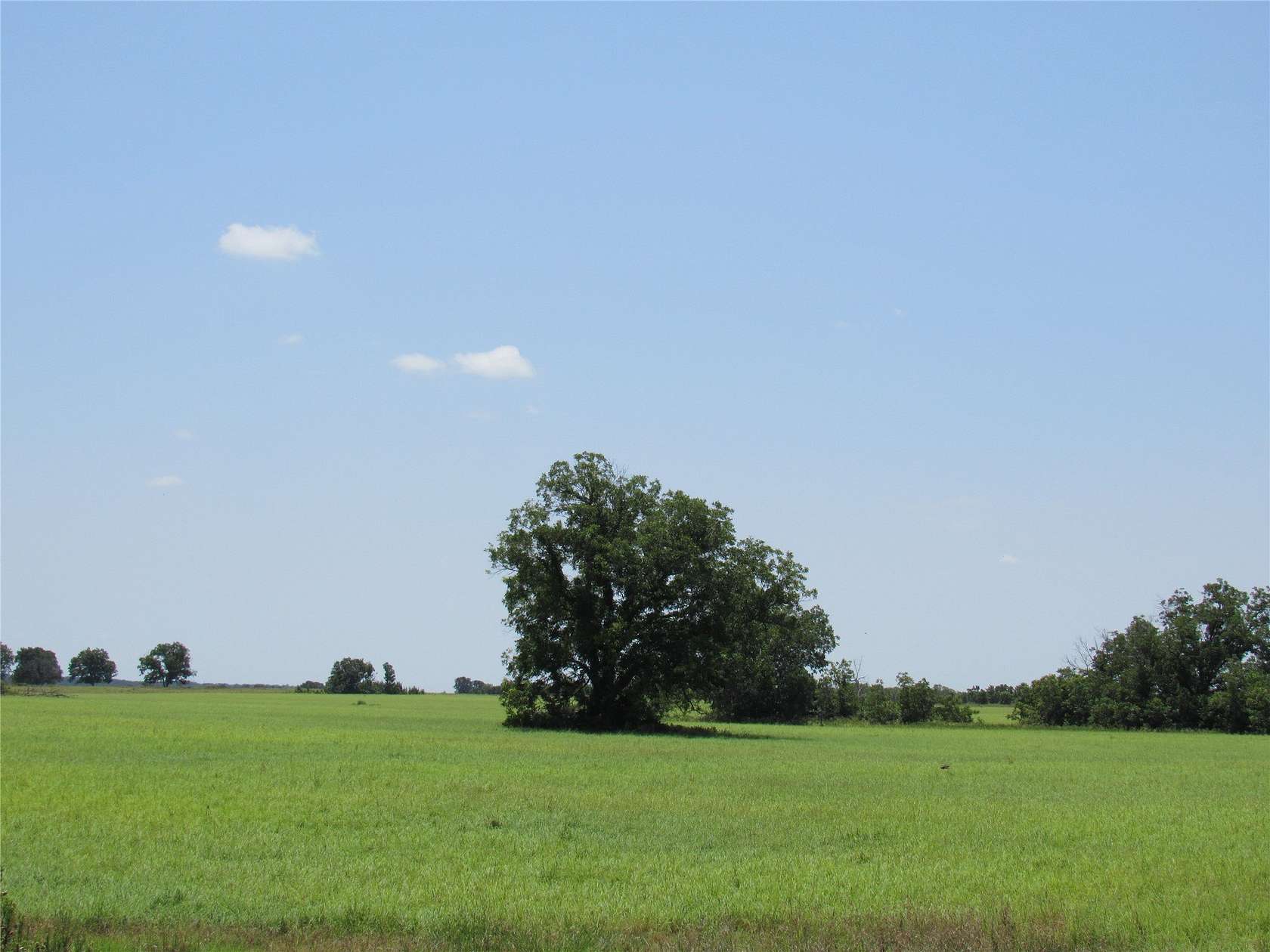 102 Acres of Agricultural Land for Sale in Carbon, Texas