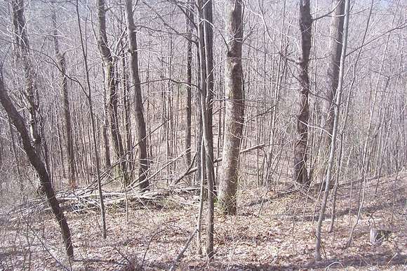 5.3 Acres of Residential Land for Sale in Knoxville, Tennessee