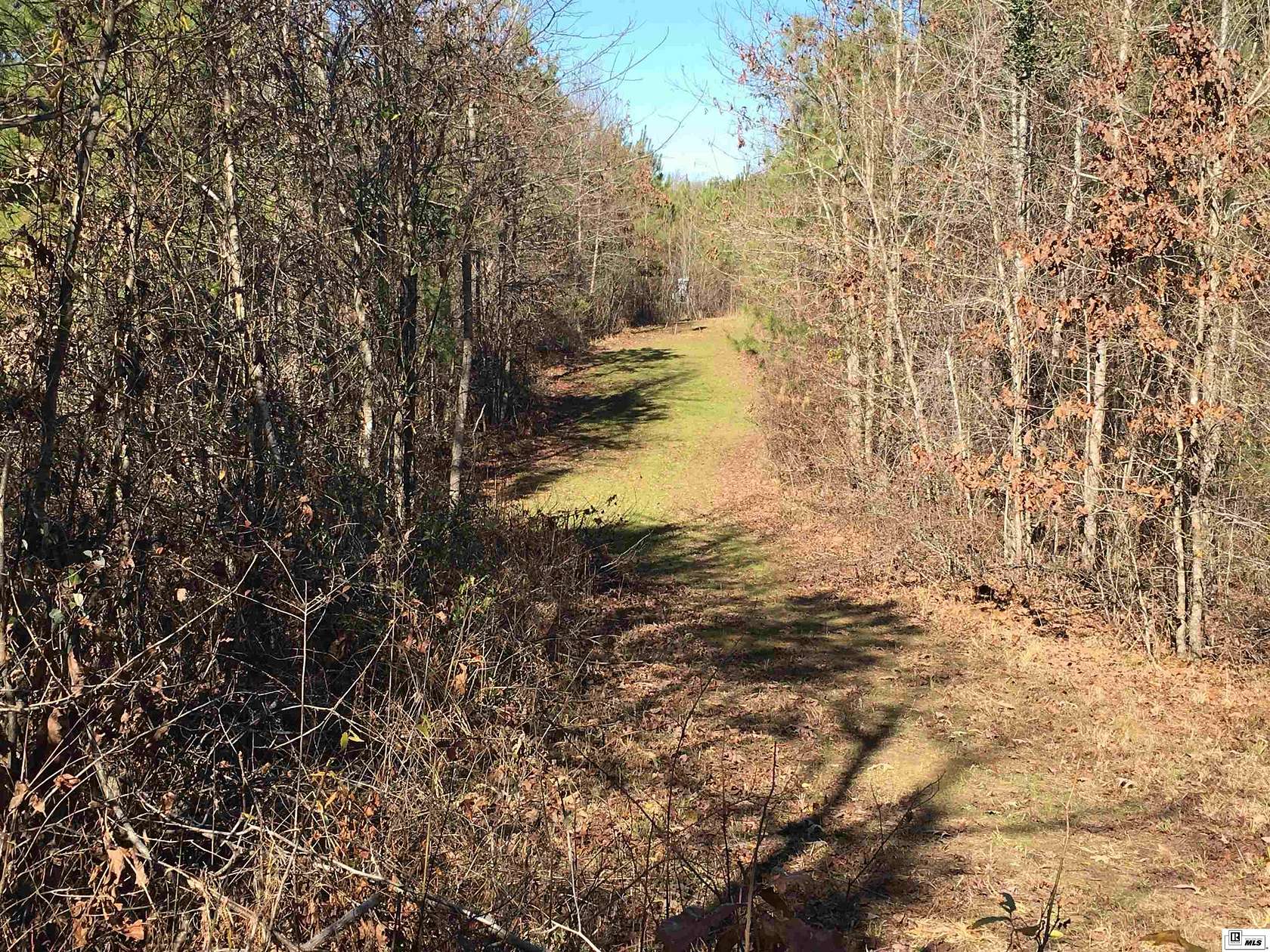 76 Acres of Recreational Land for Sale in Farmerville, Louisiana