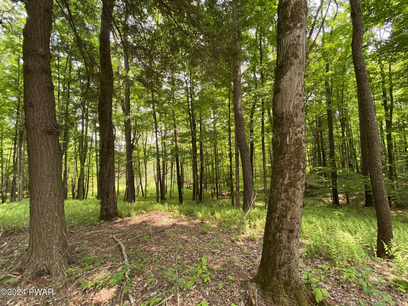 21.8 Acres of Recreational Land for Sale in Pleasant Mount, Pennsylvania