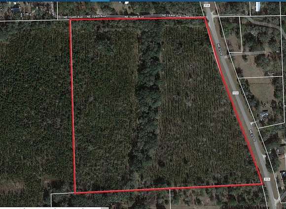 30 Acres of Land for Sale in Gainesville, Florida
