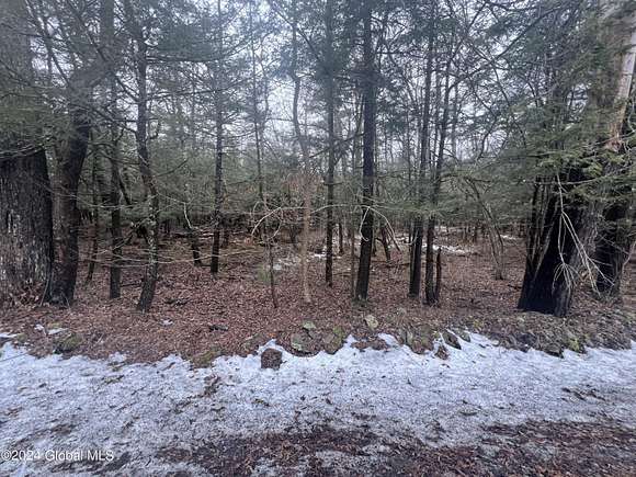 27 Acres of Land for Sale in Westerlo, New York