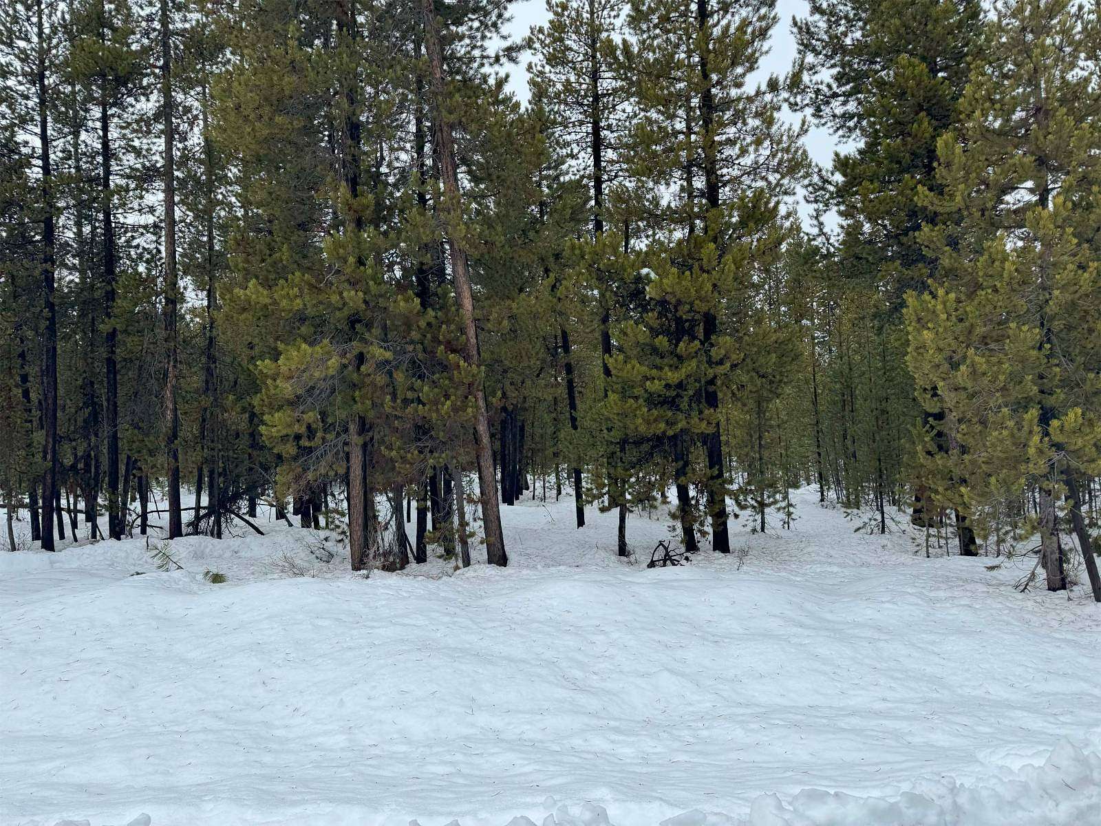 0.99 Acres of Residential Land for Sale in Crescent Lake, Oregon