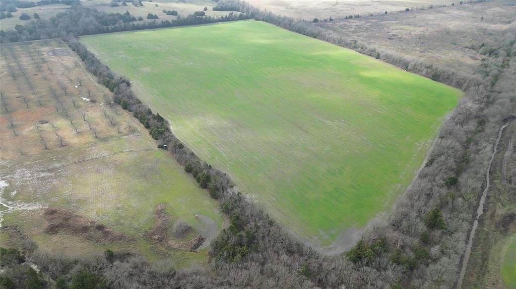 56.6 Acres of Agricultural Land for Sale in Ben Franklin, Texas
