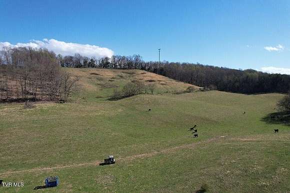 55.5 Acres of Agricultural Land for Sale in Afton, Tennessee