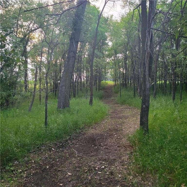 6.1 Acres of Residential Land for Sale in Spicer, Minnesota