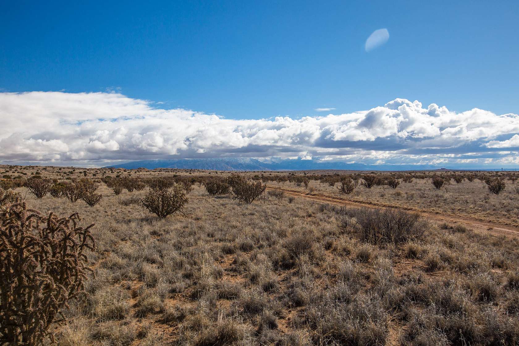 0.5 Acres of Land for Sale in Rio Rancho, New Mexico