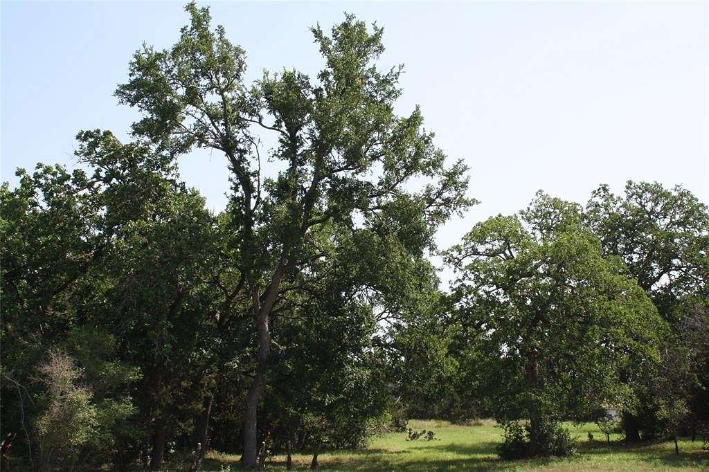 0.59 Acres of Land for Sale in Austin, Texas