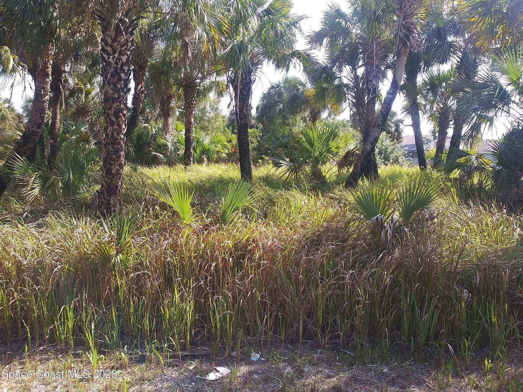 0.23 Acres of Residential Land for Sale in Palm Bay, Florida