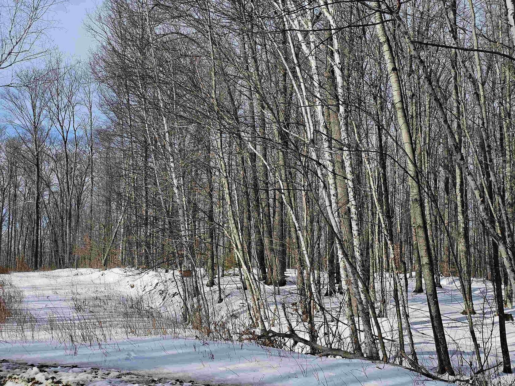 0.85 Acres of Residential Land for Sale in Iron River, Michigan