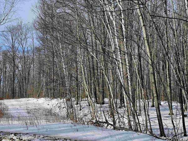 0.85 Acres of Residential Land for Sale in Iron River, Michigan