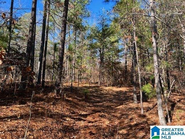 38.8 Acres of Recreational Land for Sale in Oxford, Alabama