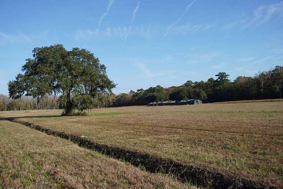 26.5 Acres of Land for Sale in Wadmalaw Island, South Carolina