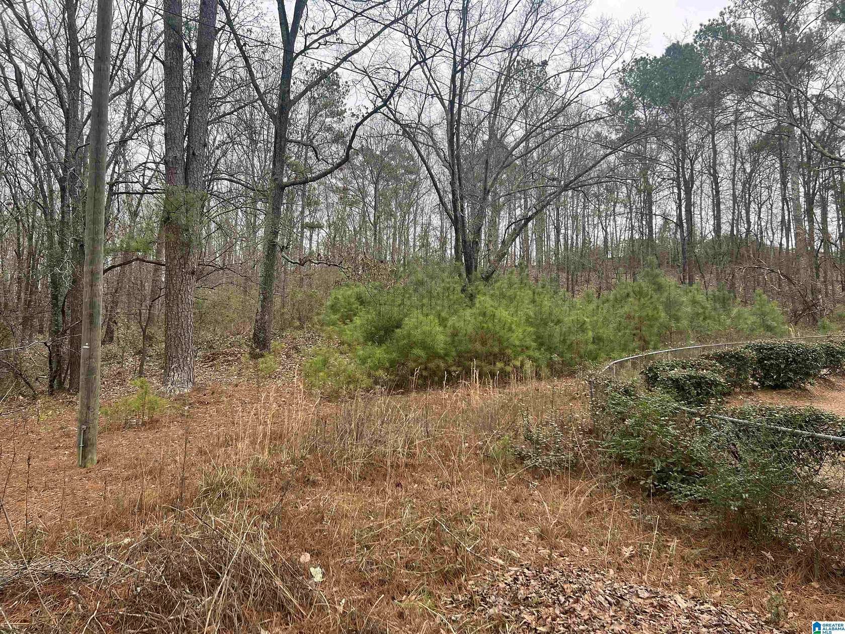 1 Acre of Land for Sale in Pell City, Alabama