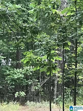 0.35 Acres of Land for Sale in Alpine, Alabama