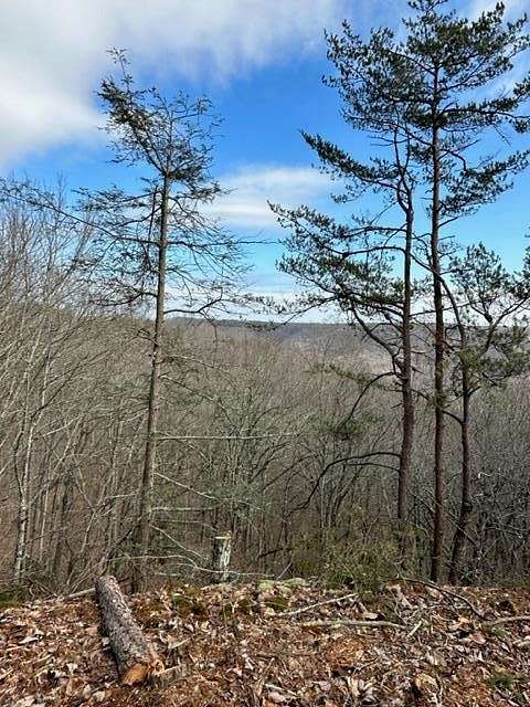 6.3 Acres of Residential Land for Sale in Wilder, Tennessee