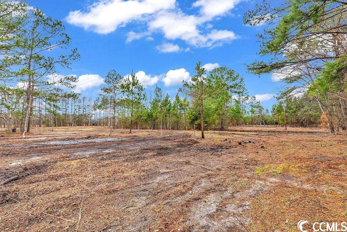 2.09 Acres of Residential Land for Sale in Loris, South Carolina