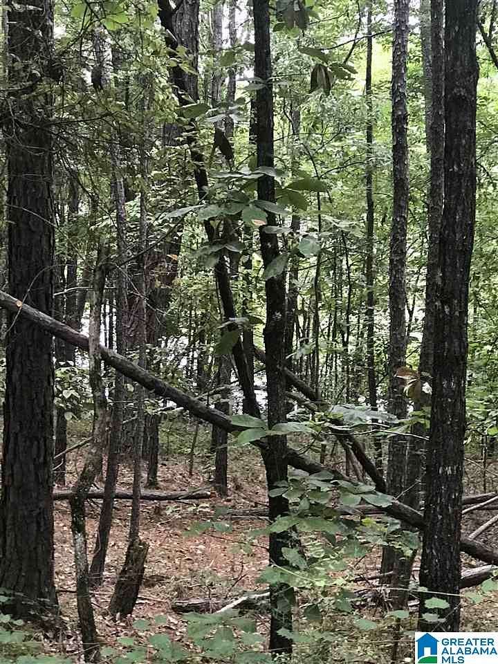 0.28 Acres of Residential Land for Sale in Alpine, Alabama
