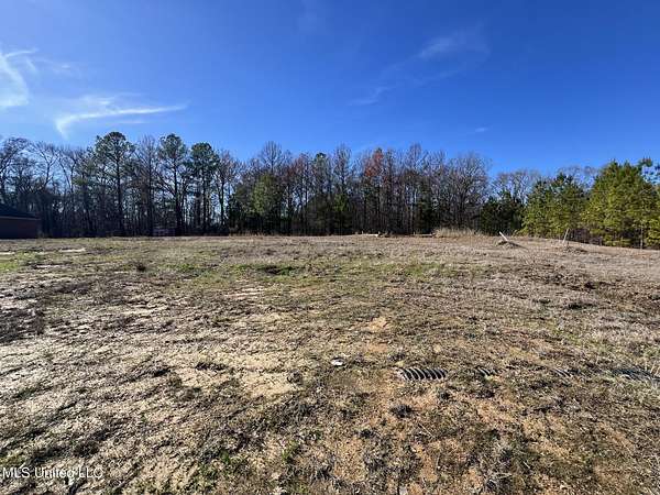 2 Acres of Residential Land for Sale in Byram, Mississippi