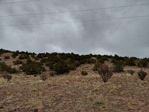 3 Acres of Residential Land for Sale in Placitas, New Mexico