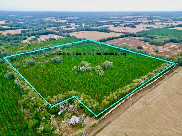 39 Acres of Recreational Land for Sale in Newberry, Florida