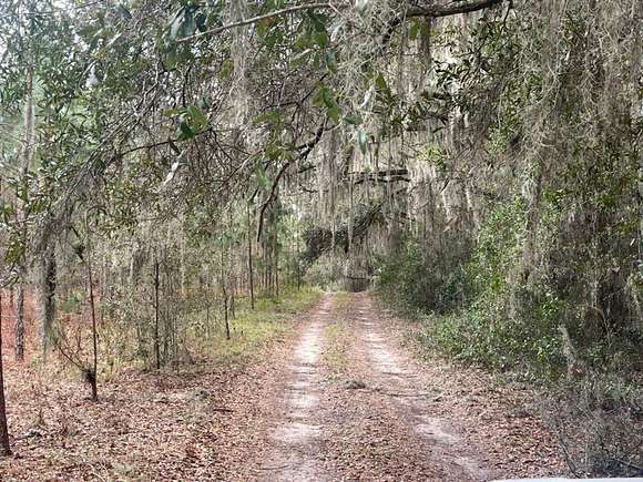 39 Acres of Recreational Land for Sale in Newberry, Florida