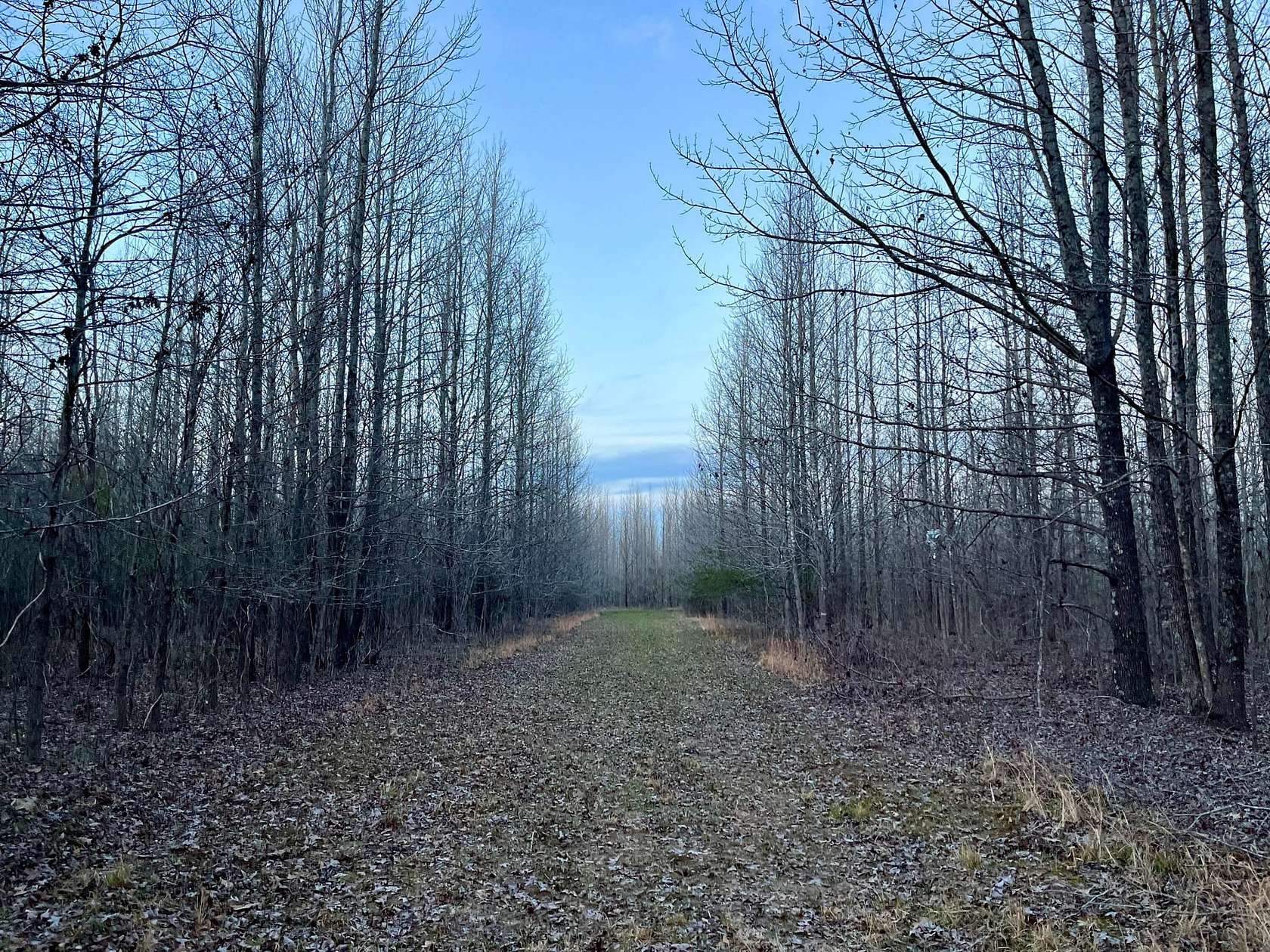 337 Acres of Recreational Land for Sale in Forest, Louisiana