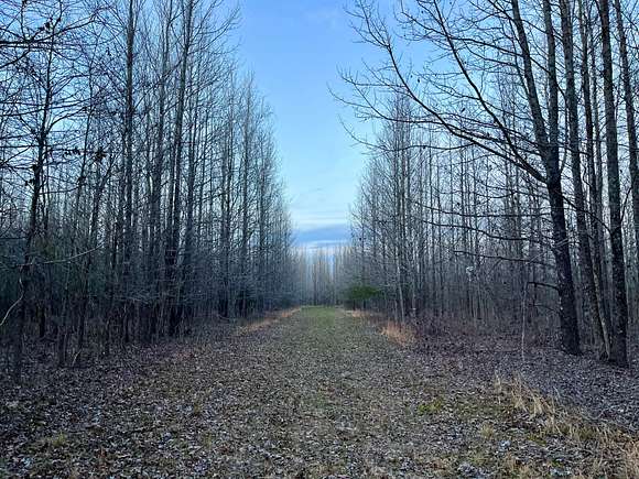 337 Acres of Recreational Land for Sale in Forest, Louisiana