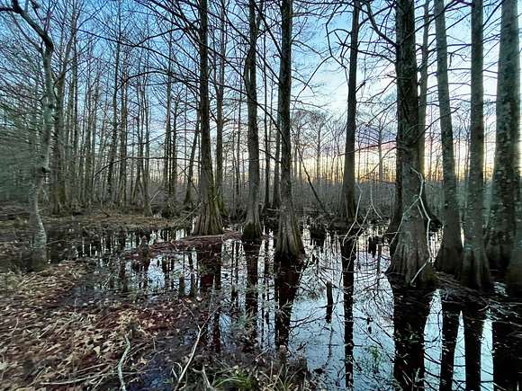 337 Acres of Recreational Land for Sale in Forest, Louisiana