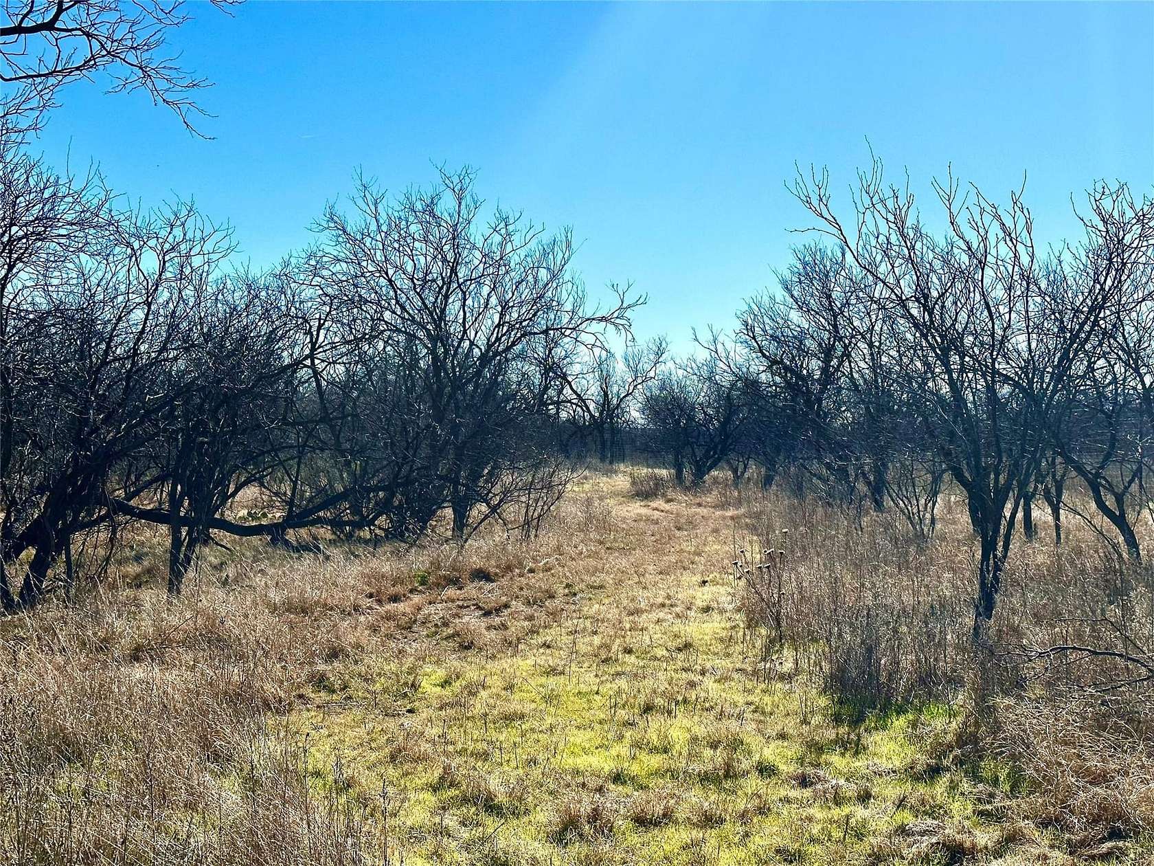20 Acres of Recreational Land & Farm for Sale in Cross Plains, Texas