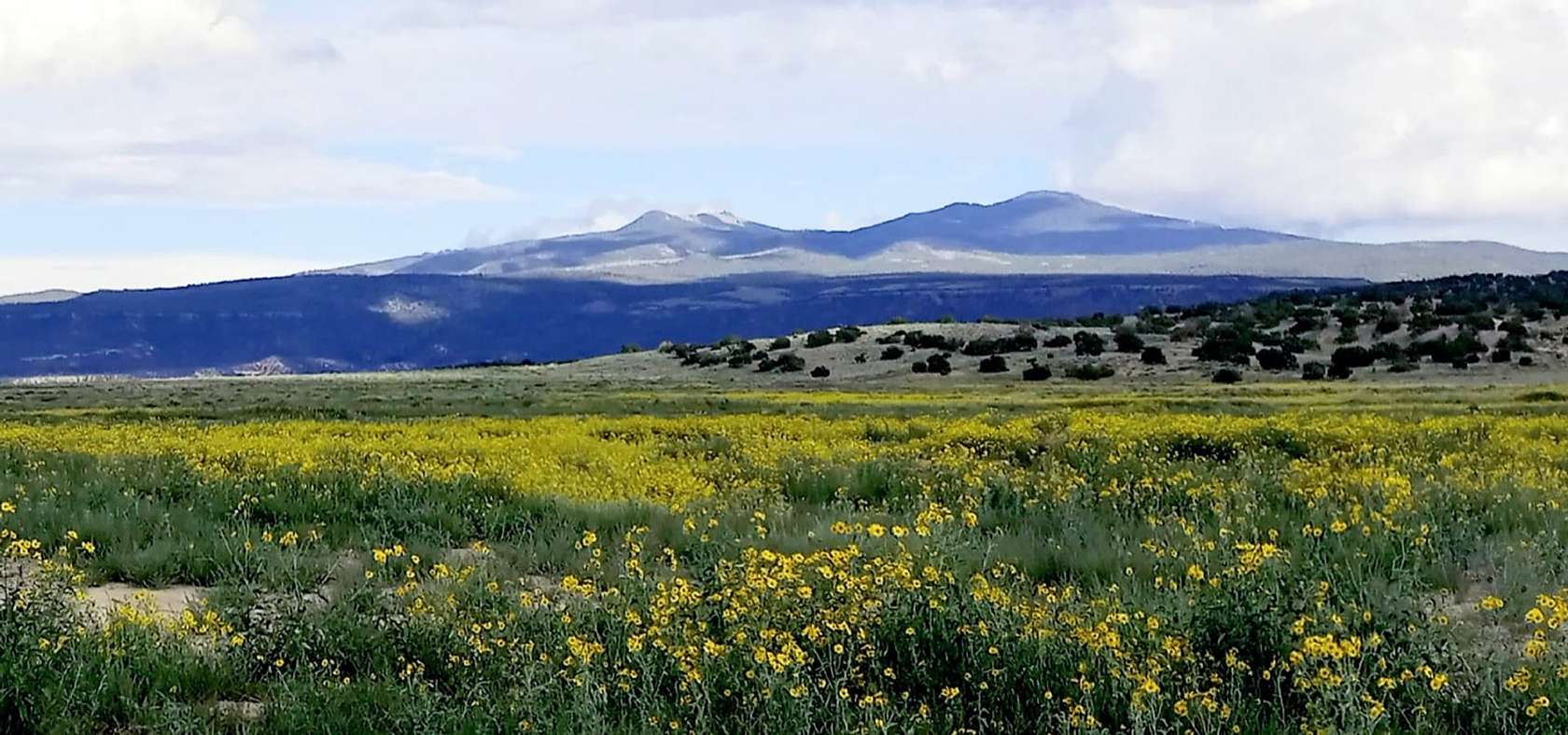 10,025 Acres of Recreational Land for Sale in Grants, New Mexico
