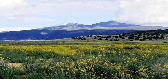 10,025 Acres of Recreational Land for Sale in Grants, New Mexico