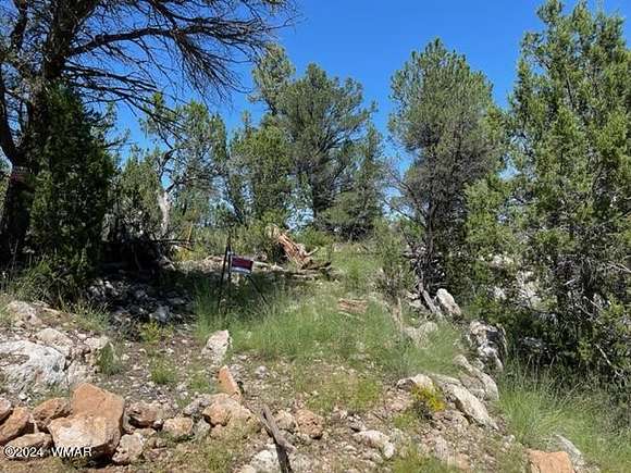 1 Acre of Residential Land for Sale in Overgaard, Arizona